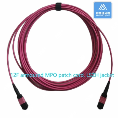 12F Armored MPO Patch Cord 5m 3.0mm LSZH 12 Core Fiber Optic Cable