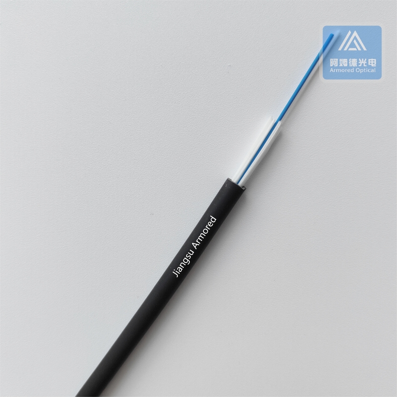 Duplex Fiber Optic Cable Single Mode CPRI 5.0mm Black LSZH FTTA Patch Cord Assembly